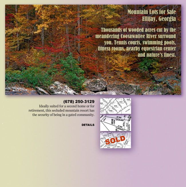 Studio condo and 2 bedroom 1 bath house rental properties in Midtown Atlanta.